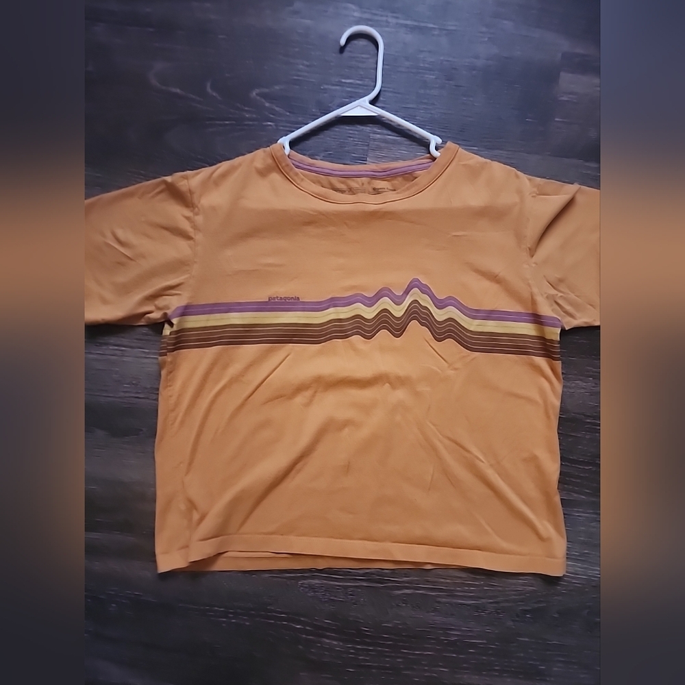 Patagonia Ridge Rise Stripe Organic Easy Cut  Boxy Graghic Womens Tee Vtg Style